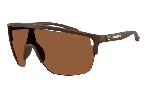 Sunglasses Arnette AN4381 3050/2