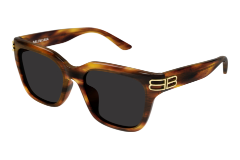 Sunglasses Balenciaga BB0433SK 007