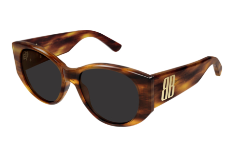 Sunglasses Balenciaga BB0455S 005