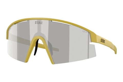 Sunglasses Bliz P006 (ZB7023 702310)