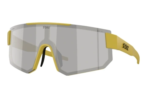 Sunglasses Bliz P005 (ZB7028 702810)