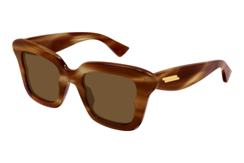 Sunglasses Bottega Veneta BV1493S 002
