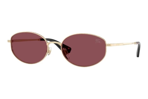 Sunglasses Burberry BE3169 11095Q