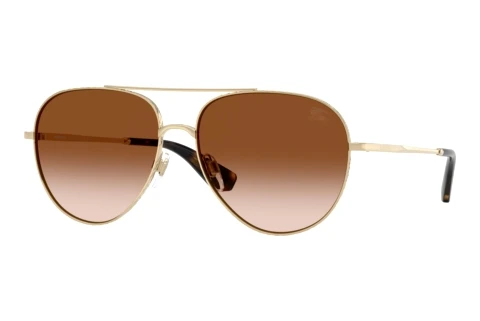 Sunglasses Burberry BE3172 110913