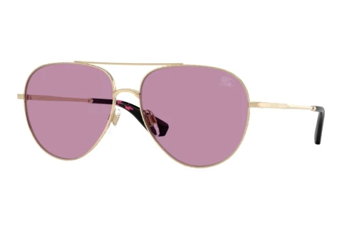 Sunglasses Burberry BE3172 110969