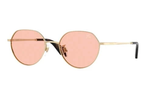 Sunglasses Burberry BE3173D 110984