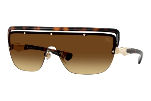 Sunglasses Burberry BE3175 110913
