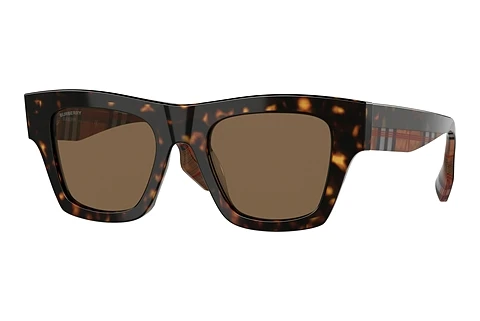 Sunglasses Burberry ERNEST (BE4360 399173)