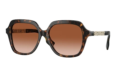 Sunglasses Burberry JONI (BE4389 300213)