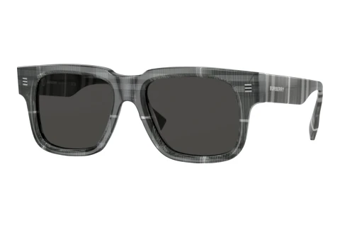 Sunglasses Burberry HAYDEN (BE4394 380487)