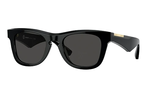 Sunglasses Burberry BE4426 300187