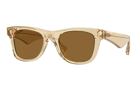 Sunglasses Burberry BE4426 412373