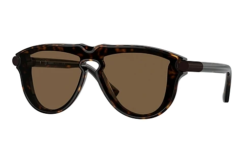 Sunglasses Burberry BE4427 300273