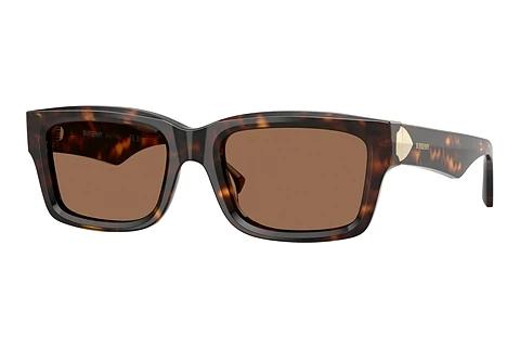Sunglasses Burberry BE4443 300273