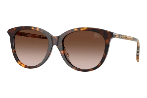 Sunglasses Burberry BE4455 421613
