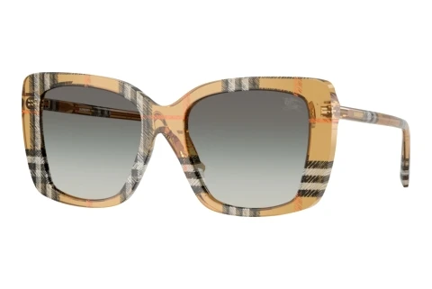 Sunglasses Burberry BE4456 416311