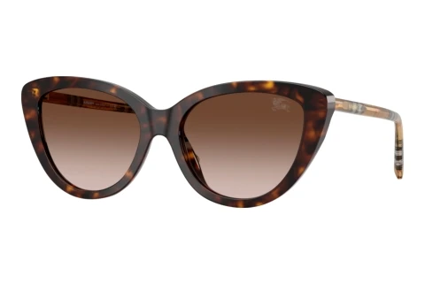 Sunglasses Burberry BE4457 421613