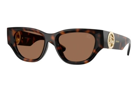 Sunglasses Burberry BE4467U 300273