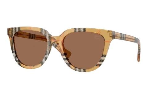 Sunglasses Burberry BE4469 416373