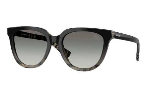 Sunglasses Burberry BE4469 420011