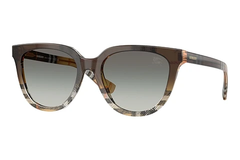 Sunglasses Burberry BE4469 420211