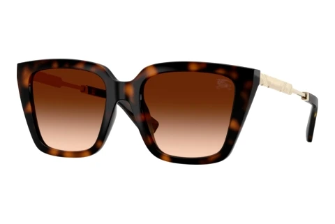 Sunglasses Burberry BE4473U 300274
