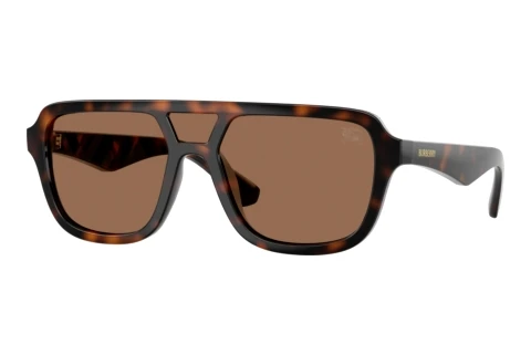 Sunglasses Burberry BE4474U 300273