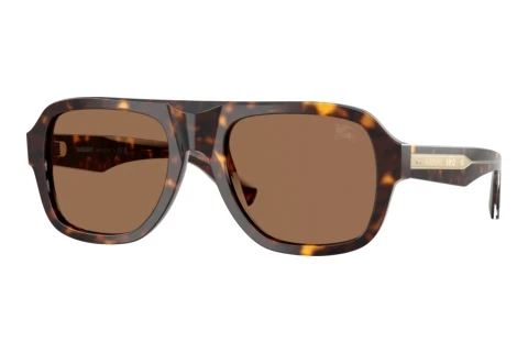 Sunglasses Burberry BE4478 420573