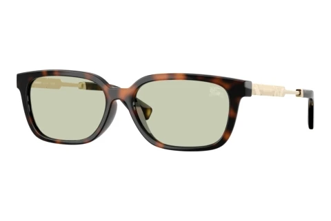 Sunglasses Burberry BE4481D 3002/2