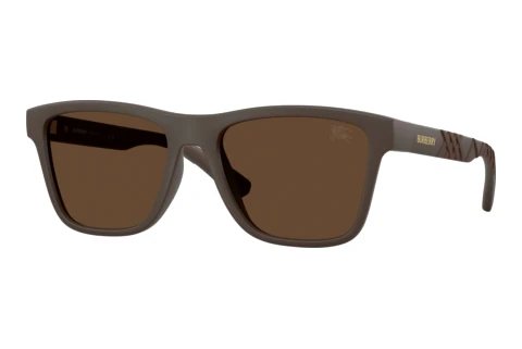 Sunglasses Burberry BE4482U 423473