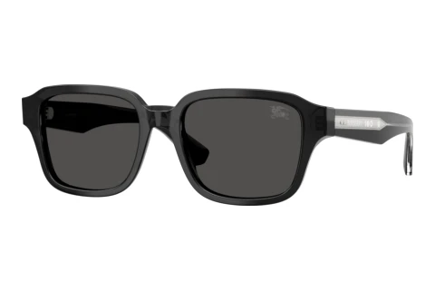 Sunglasses Burberry BE4484 421187