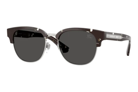 Sunglasses Burberry BE4485 422587
