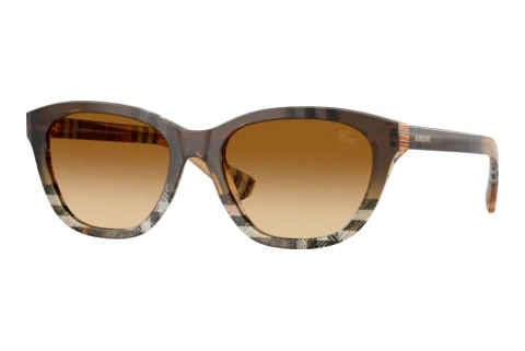Sunglasses Burberry BE4486 420213
