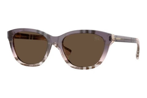Sunglasses Burberry BE4486 422073