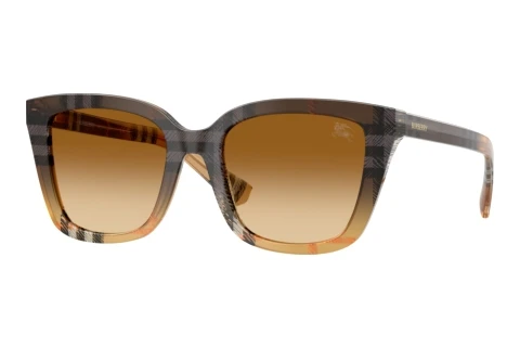 Sunglasses Burberry BE4487 420213