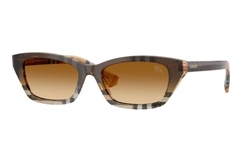 Sunglasses Burberry BE4488 420213
