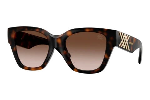Sunglasses Burberry BE4489U 300213