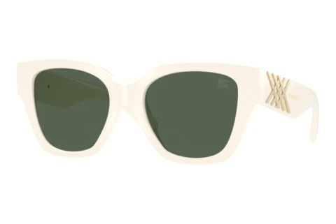 Sunglasses Burberry BE4489U 421871