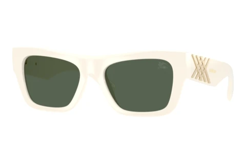 Sunglasses Burberry BE4490U 421871