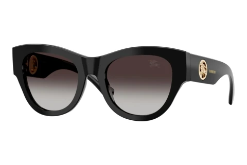 Sunglasses Burberry BE4491 30018G
