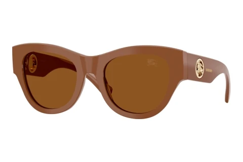 Sunglasses Burberry BE4491 422273
