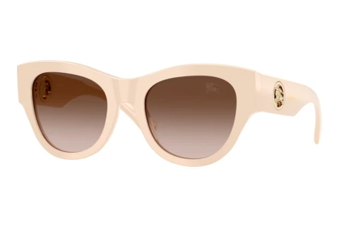 Sunglasses Burberry BE4491 422313