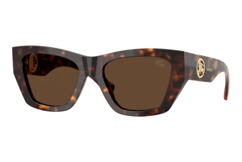 Sunglasses Burberry BE4492 300273