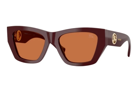 Sunglasses Burberry BE4492 411973