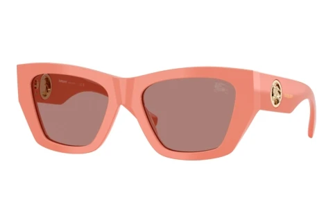 Sunglasses Burberry BE4492 421973