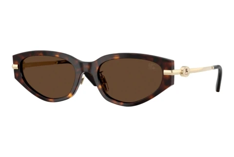 Sunglasses Burberry BE4493D 300273