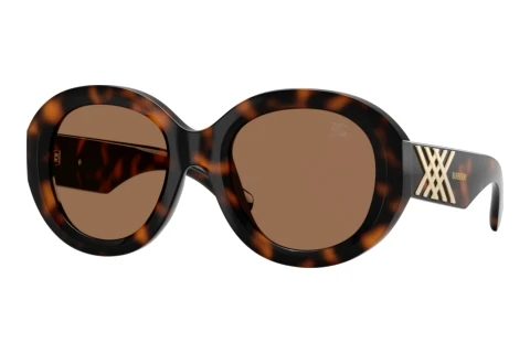 Sunglasses Burberry BE4497U 300273