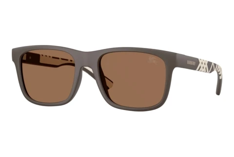 Sunglasses Burberry BE4499U 423473