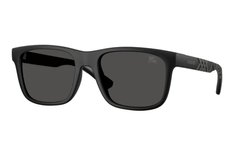 Sunglasses Burberry BE4499U 426087