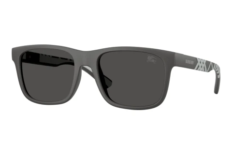 Sunglasses Burberry BE4499U 426487